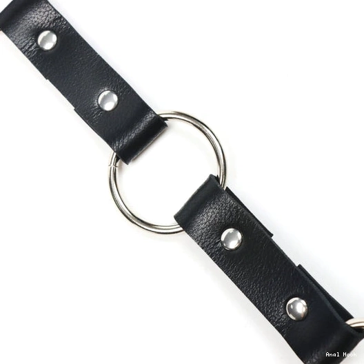 Leash 5853 Anal EverydayUse and with Collar Kinky Hook 1102